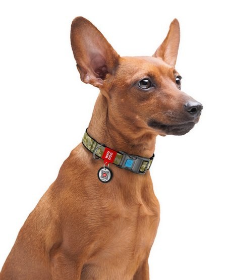 Collar WauDog Nylon Obroża nylonowa z QR-paszportem, plastikowy fastex, wzór MILITARY, M 20mm/28-40cm