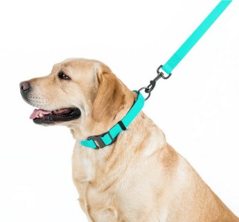 Collar WauDog Waterproof Obroża wodoodporna z QR-paszportem, akumulująca światło, plastikowy fastex, 15mm/25-35cm