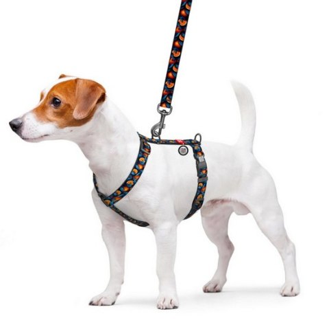 Collar WauDog Nylon Szelki nylonowe anatomiczne w kształcie litery H, z QR-paszportem, plastikowy fastex, wzór POMARAŃCZE, rozmi