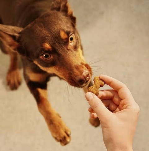 Carnilove Dog Crunchy Snack Ostrich 200g