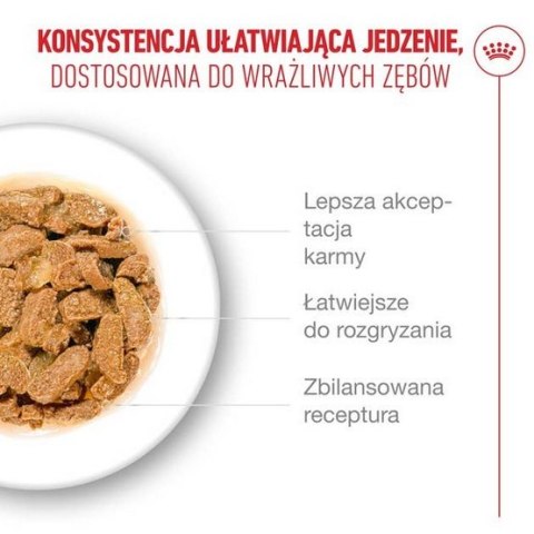 Royal Canin Ageing +11 karma mokra dla kotów dojrzałych w galaretce saszetka 85g