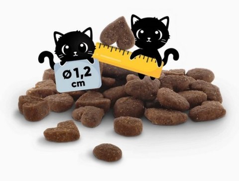 Lucky Lou Food Code Lifestage Adult Drób & Kaczka 340g